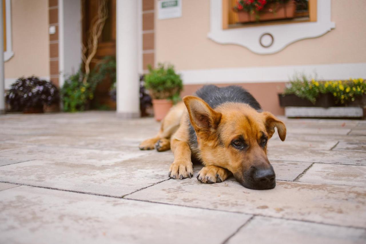 Tourist Farm Firbas Bed & Breakfast Cerkvenjak Dış mekan fotoğraf