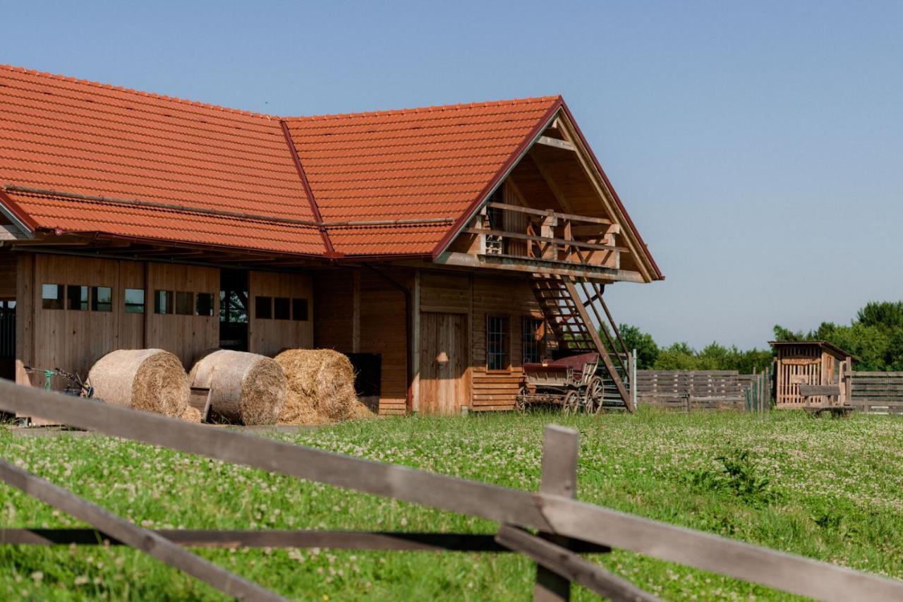 Tourist Farm Firbas Bed & Breakfast Cerkvenjak Dış mekan fotoğraf