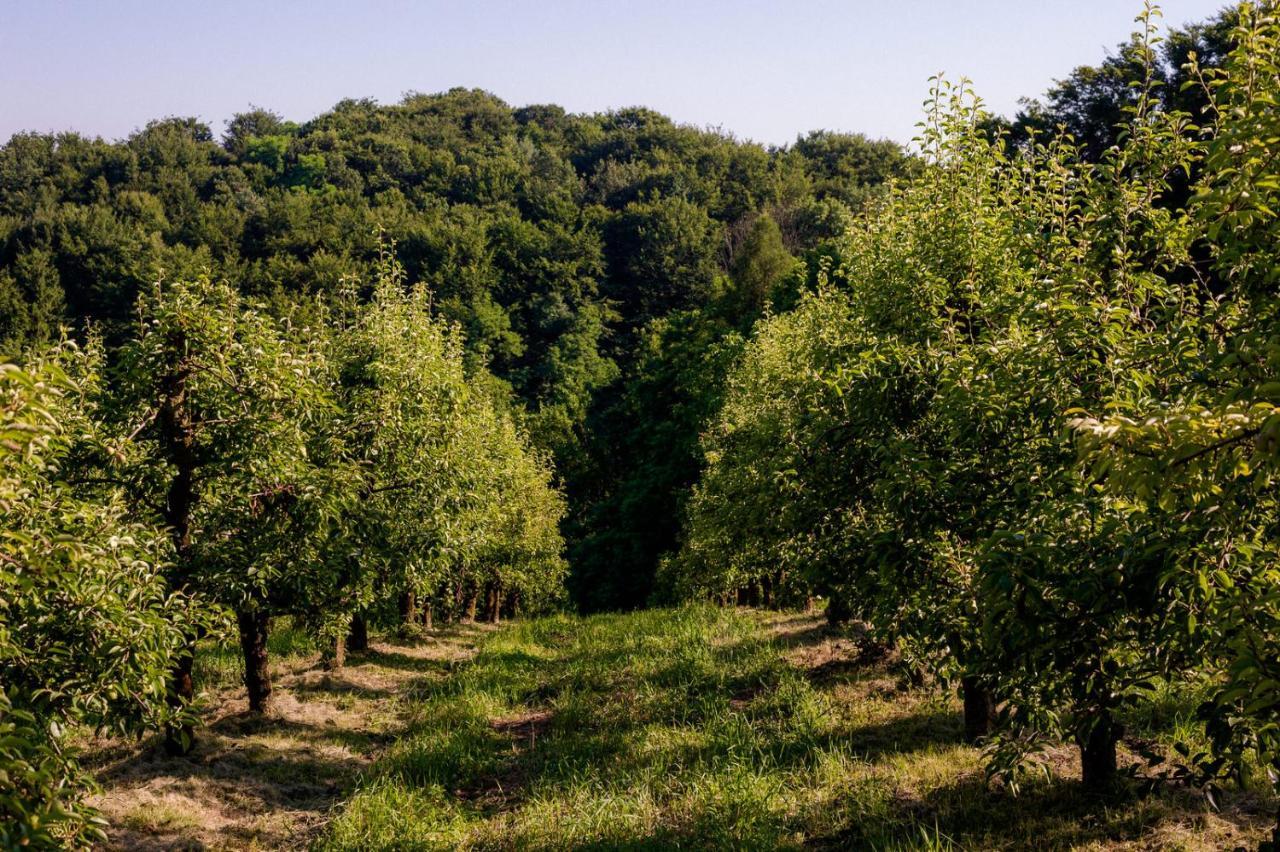 Tourist Farm Firbas Bed & Breakfast Cerkvenjak Dış mekan fotoğraf