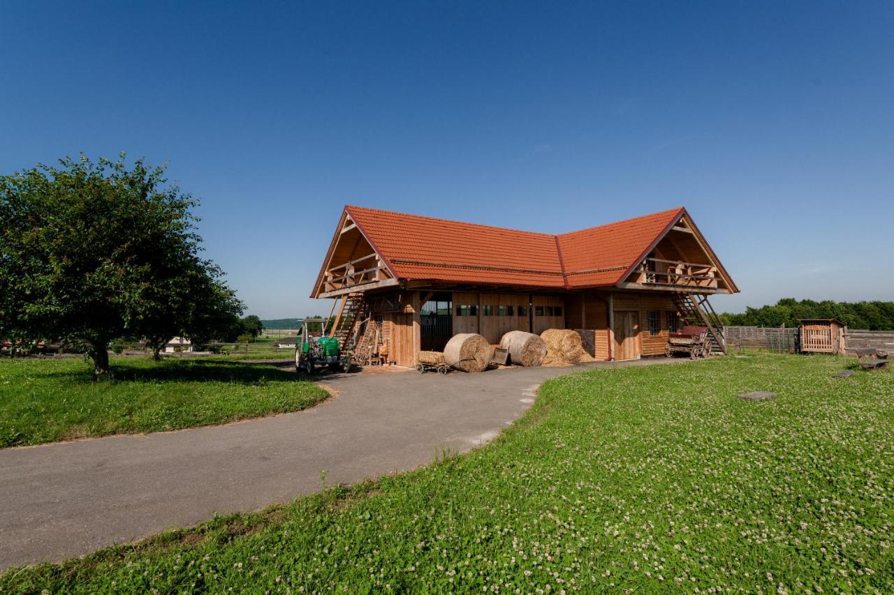 Tourist Farm Firbas Bed & Breakfast Cerkvenjak Dış mekan fotoğraf
