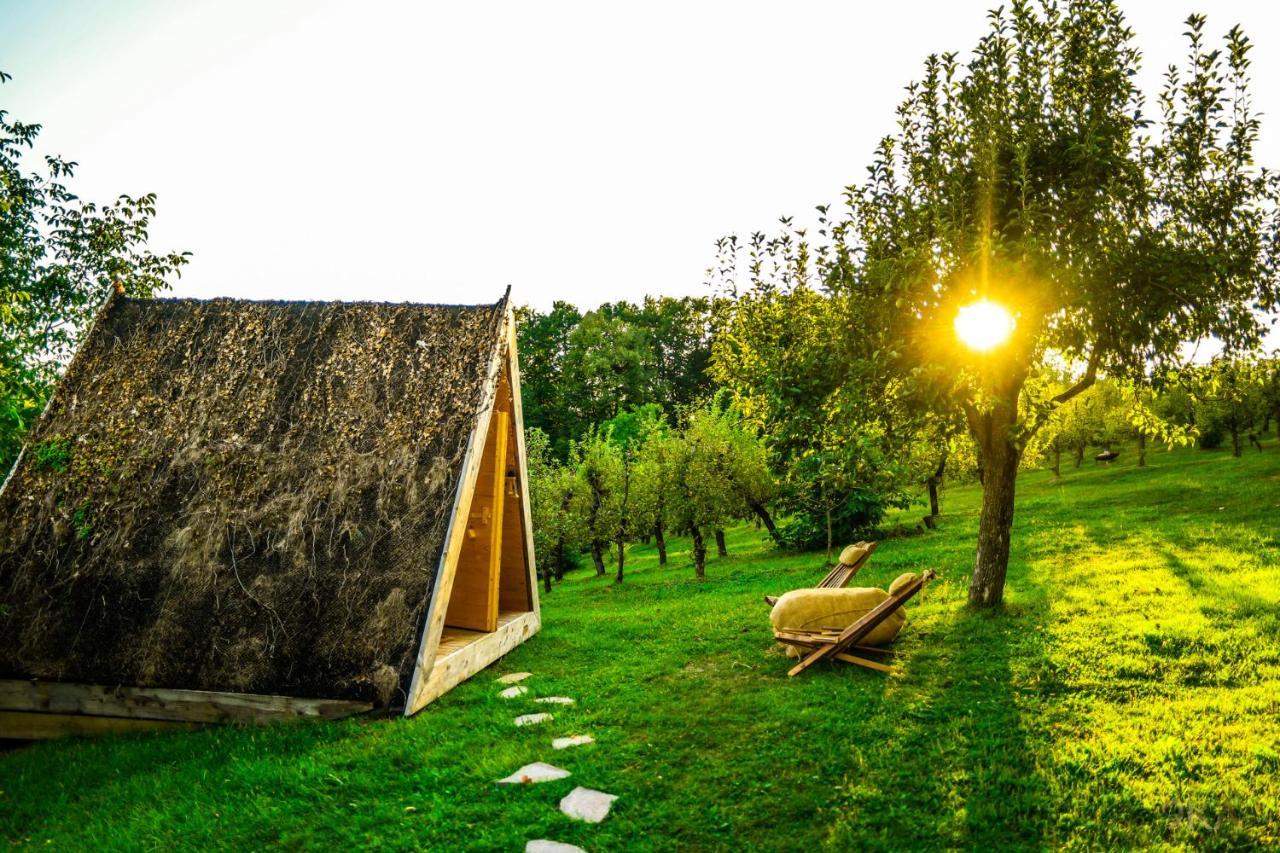 Tourist Farm Firbas Bed & Breakfast Cerkvenjak Dış mekan fotoğraf